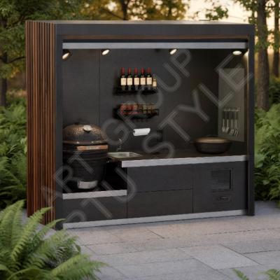 VIRTU Grill Module BOX 2.4 VIRTU Grill Module BOX 2.4